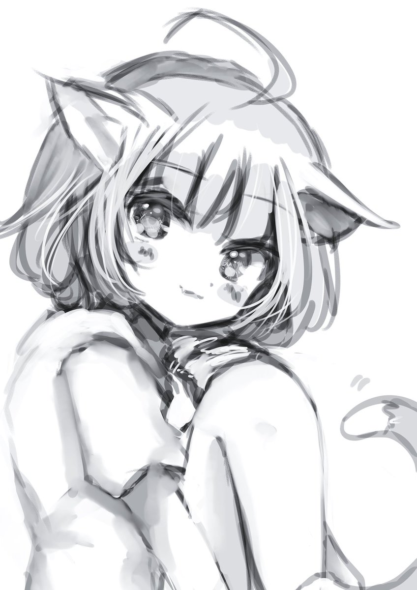 #ソイにゃん 