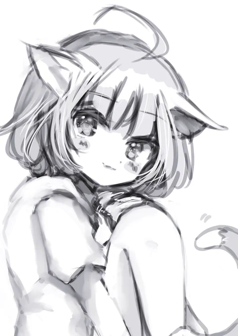 #ソイにゃん 