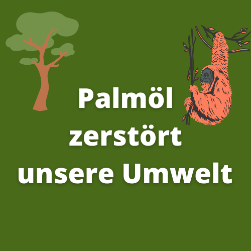 Save_WildlifeCF's tweet photo. Vier Schülerinnen aus Wiesbaden haben einen fünfteiligen Podcast zum Thema Palmöl aufgenommen: https://t.co/B5S28IWpj4. Wir freuen uns über so viel Engagement! Wenn Sie unsere Arbeit unterstützen &amp; den Regenwald schützen möchten folgen Sie dem Link: https://t.co/XhadxYPmQu https://t.co/2bcYoc1rV3