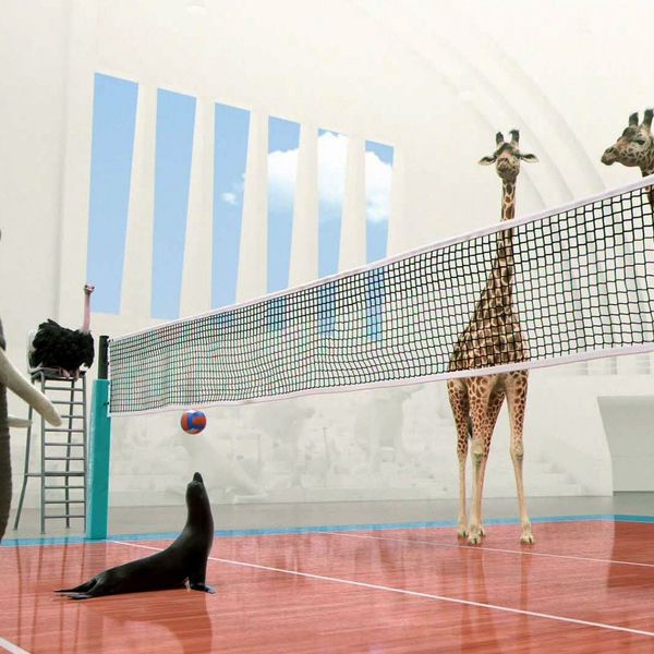 RadioQuetsch's tweet photo. Programme hebdo : Les mercredis à 16h - Émission pour petits et moins petits."Mercredi ! Aime le sport" 📻 https://t.co/jMCi57XBMv Zoé, Julie et Louise vous transmettront leur passion pour le volley-ball, la natation, le tennis, le yoga, le surf et le golf ! #PlusDeSportAuFeminin https://t.co/cRVQDGPH2p