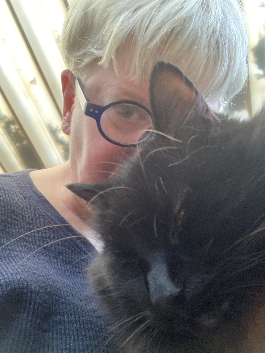 MoffStarbuck's tweet photo. Selfie-time! #Tom #CatsOfTwitter #workdistraction https://t.co/lkzhzEoEvX