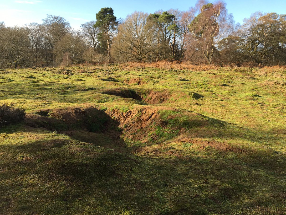 surreyarch's tweet photo. The univallate fort on #Hillbury ridge, #PuttenhamCommon, reputedly #IronAge and later used for (medieval?) stock enclosure and #WWII training, has also had earlier (#Prehistoric or #Roman?) field systems revealed through #LiDAR survey https://t.co/JYZzfkBCTu #HillfortsWednesday https://t.co/3bWLIp34FA