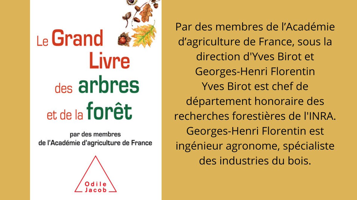 📚 <a href="/OdileJacob/">Éditions Odile Jacob</a> On recommande 'Le Grand Livre des #arbres et de la #forêt' par des membres de l’ <a href="/AcademieAgri/">Académie Agriculture</a> de France sous la direction d’Yves Birot, Georges-Henri Florentin, président de <a href="/2024Bois/">France Bois 2024</a>, Jean-Yves Henry et Bernard Roman-Amat.