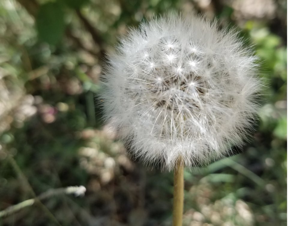 FlySusan tweet picture