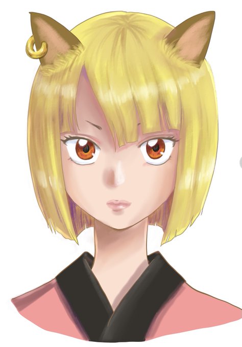 左右反転 高画質 のtwitterイラスト検索結果 古い順