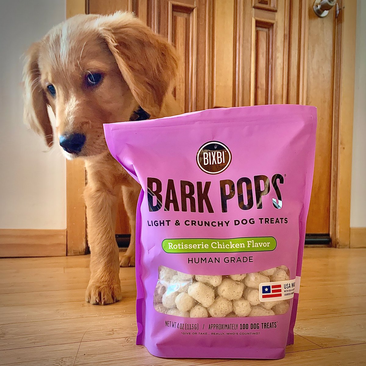 #puppylove @BIXBIPet #barkpops