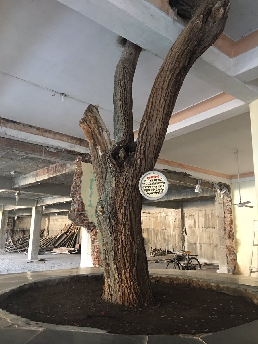 10. Gurudwara Nanaksar SahibSri Guru Nanak Dev Ji Mahraj stopped over here en-route to Bidar. There’s a Ber tree here where Guru Ji sat in devotion for nine days and nine hours.