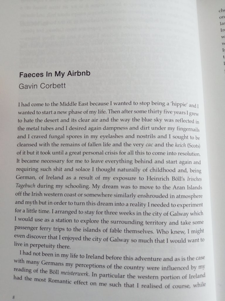 20. "Faeces in My Airbnb" by Gavin Corbett. Available from  @stingingfly The Galway Edition.