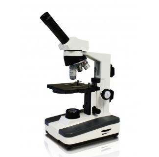 Capital Microscope (@CapitalMicro) / Posts / X
