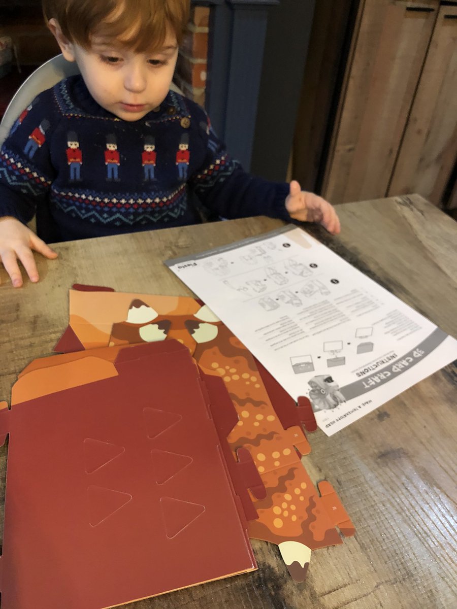 NotSoDadOTYear's tweet photo. 2021 is the year of flat pack Triceratops heads #dinosaurs #dinodana #dadlife https://t.co/iGOPJArM6i
