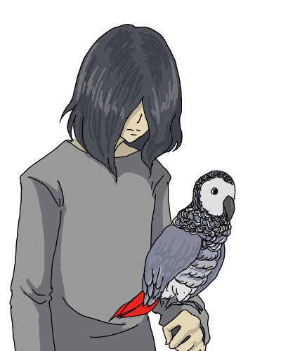 最も共有された ヨウム イラスト ヨウム イラスト 簡単