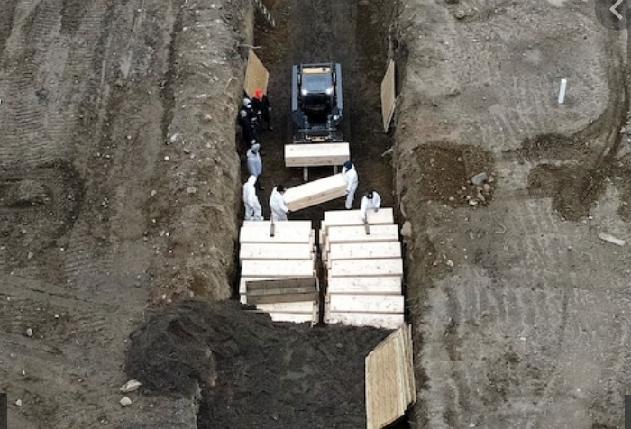 Mike Hamm tweet media