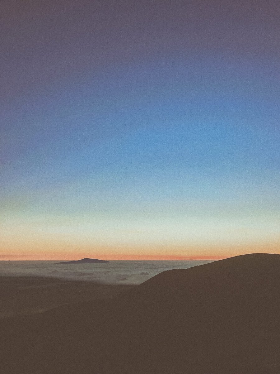 taeteland tweet picture
