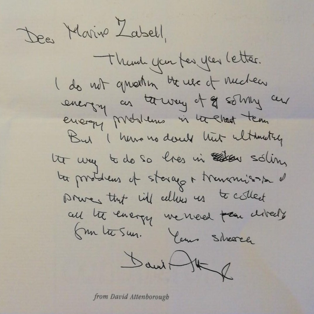 Zion Lights tweet media