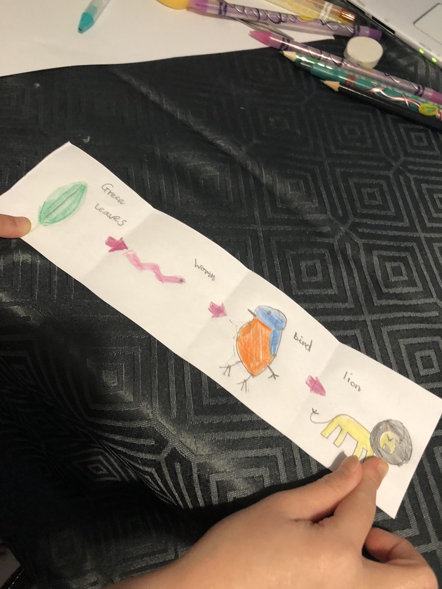 bev30775176's tweet photo. @AbbeyPrimary M has finished her food chain #y2 #homelearning https://t.co/EehB5uW8p0
