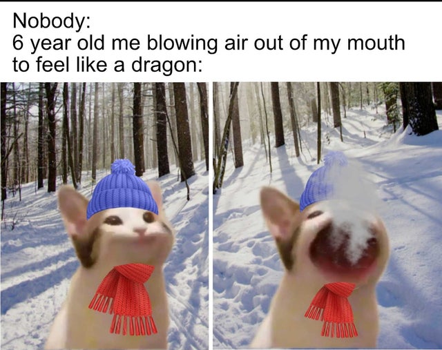 WholesomeMemes (@wholesomememe) on Twitter photo 