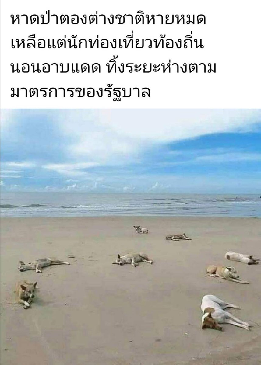 หาดป่าตอง ภูเก็ต วันนี้
#หยุดเห่าเพื่อชาติสักครั้งเถอะ
#วัคซีนโควิด
#เงินเยียวยา
#ม็อบ20มกรา https://t.co/OwKIYObGlN