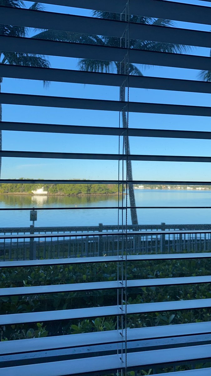 Renata Grozovsky tweet media