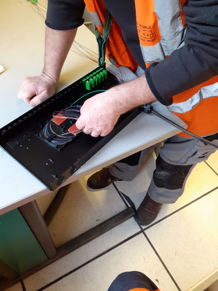 astridanger tweet media