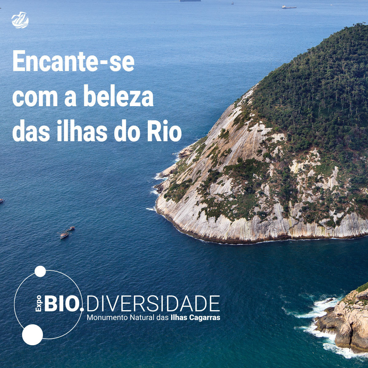 IlhasdoRio's tweet photo. Hoje começa a nossa Exposição no AquaRio: Biodiversidade do Monumento Natural das Ilhas Cagarras.
🗓 20/01 a 12/03
📍AquaRio 
O Projeto Ilhas do Rio é realizado pelo @Instituto Mar Adentro sob curadoria técnica do @WWF-Brasil, e patrocínio da #AssociaçãoIEP e @jgp.asset. https://t.co/mdX7IYfI7J