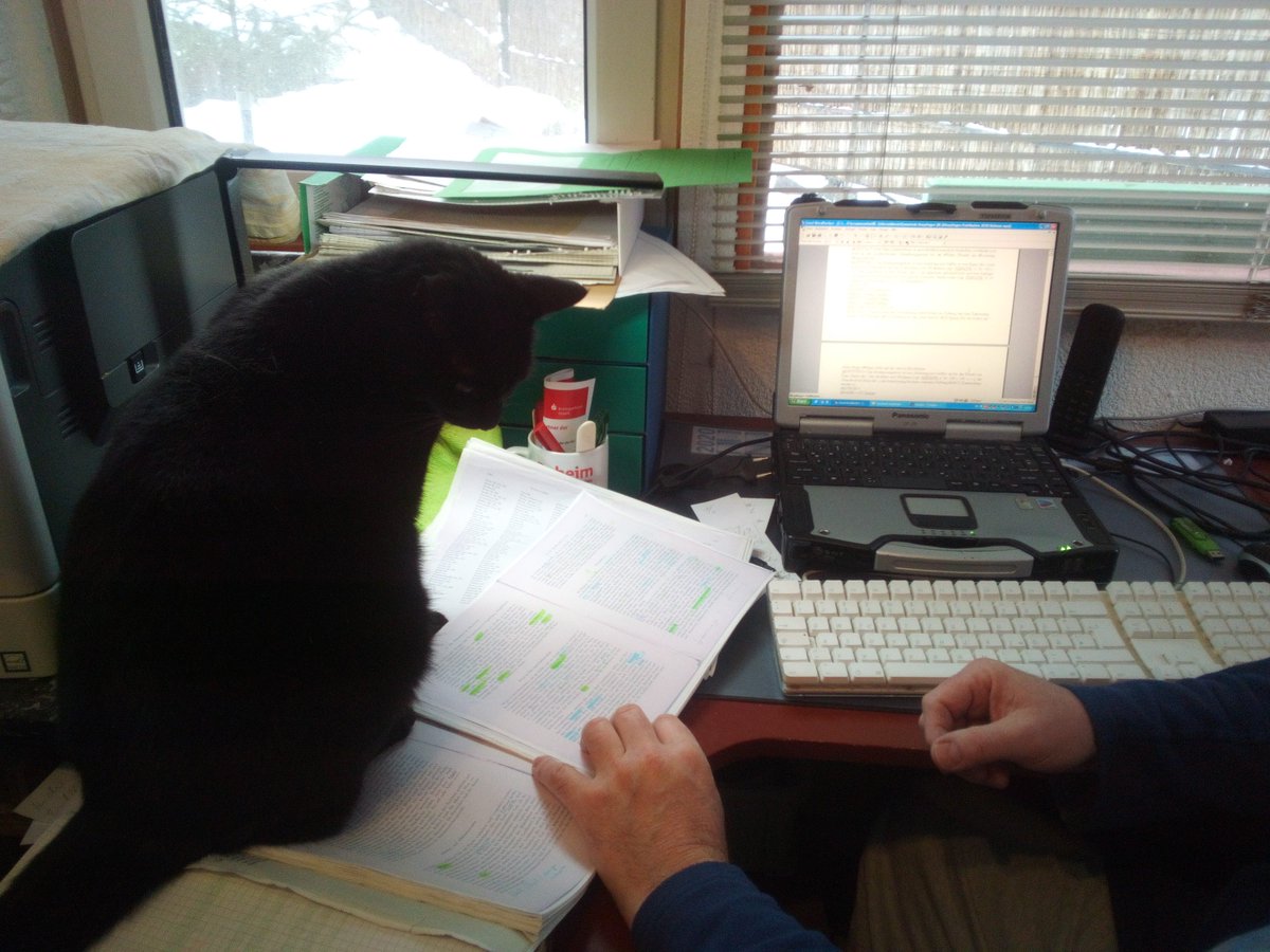 Flurnamen's tweet photo. #Homeoffice #Quarantäne Mein Kater erklärt mir gerade den #Flurnamen Katzensteig. Ungelogen! Es ist soweit > #Katzenfoto #MqK https://t.co/avg6bgp6G8