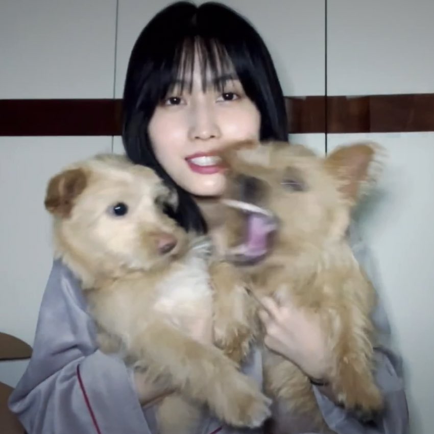 yjyiny's tweet photo. https://t.co/tLZNGC7mBS