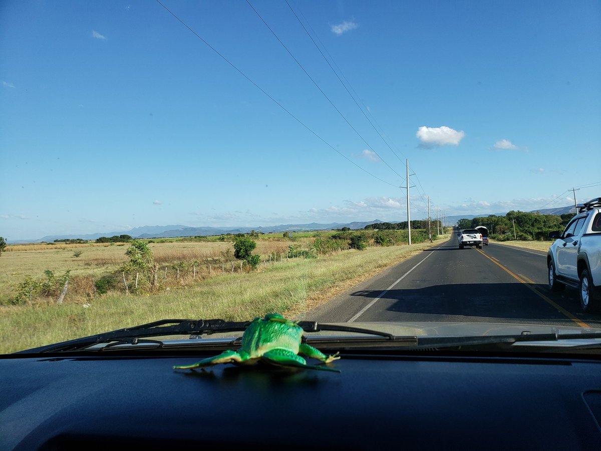 🐸🐸📢 #Nicaragua hermosa, bella,guapa, linda, Preciosa,  Bonita, gallarda, se muestra con encanto, nos enamora, nos en enculamos de ella todo el tiempo. 
<a href="/CarolinRespald1/">@CarolinRespaldo1</a> <a href="/CarolineSandini/">Caroline Sandinista</a> <a href="/Eulila5/">Eu_lila</a> <a href="/NorWC1/">Nor-W-C</a> <a href="/ChalecosAmarill/">©halecos Amarillosᴳᴸᴼᴮᴬᴸ 🍀ʷAͤNͣOͬNͤYˡMͤOᵍUͥSͦⁿ</a> <a href="/TPU19J/">Tropa Digital Pablo Úbeda🇳🇮</a> <a href="/BelzabethCente3/">Belzabeth Centeno</a> <a href="/Gomez1086Hugo/">Victor Hugo Gomez</a> <a href="/DeslerRomero/">Desler Romero</a>