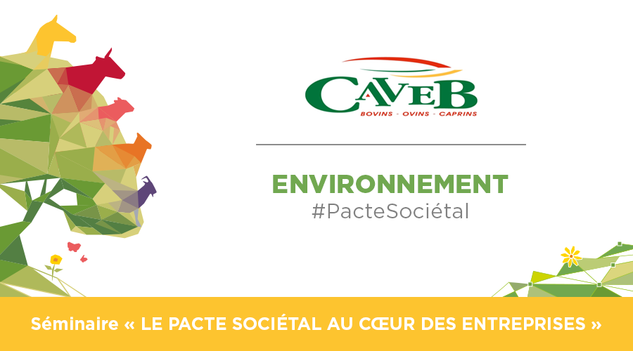 Interbev_fr's tweet photo. [#SéminaireINTERBEV]
Témoignage #Caveb⤵️
"Nous avons engagé une démarche environnementale dès les années 2000 et avons intégré au fur et à mesure les outils collectifs comme #CAP2ER. Nous nous lançons désormais dans une démarche #RSE en s’inspirant du #PacteSociétal d’INTERBEV." https://t.co/16nu41oDqb