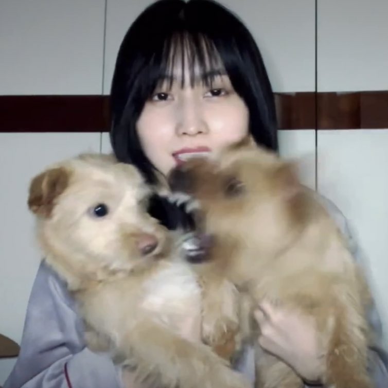 intomotzu's tweet photo. demon dog 😭 #SAVEDOBBY https://t.co/f3OMK6jqGM