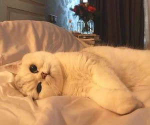 pagsmong's tweet photo. คิดถึงคุณจังเลย♥ https://t.co/5qvhtbpWg4