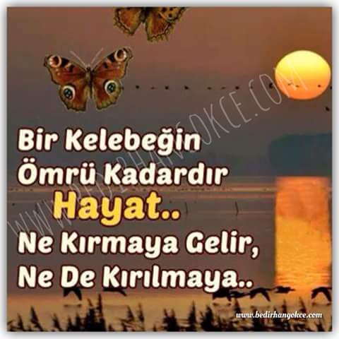 Prenses ama dertli (@36_rum) on Twitter photo 