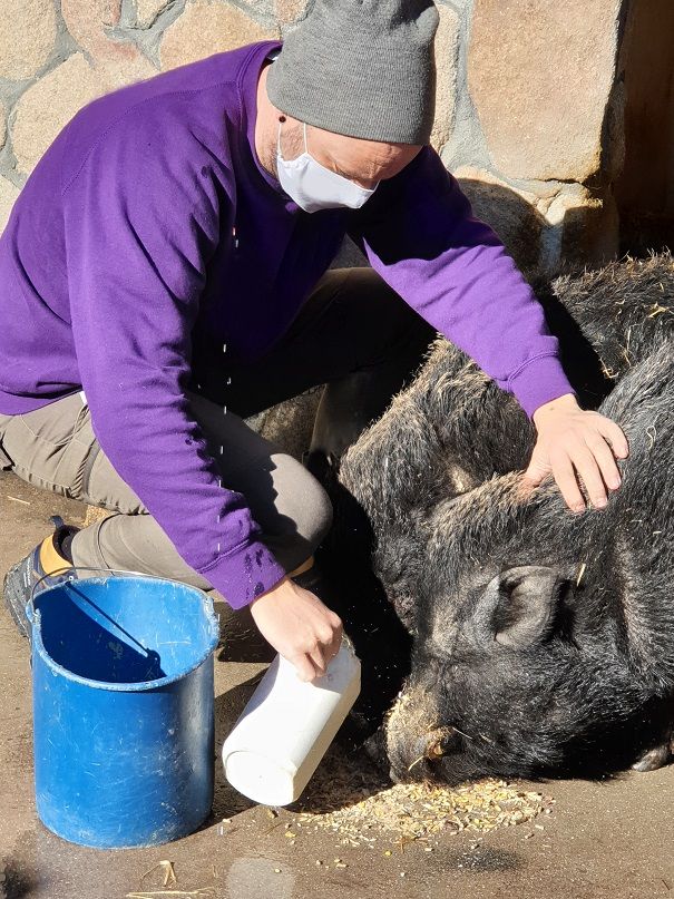 Foto cedida por AGECAM