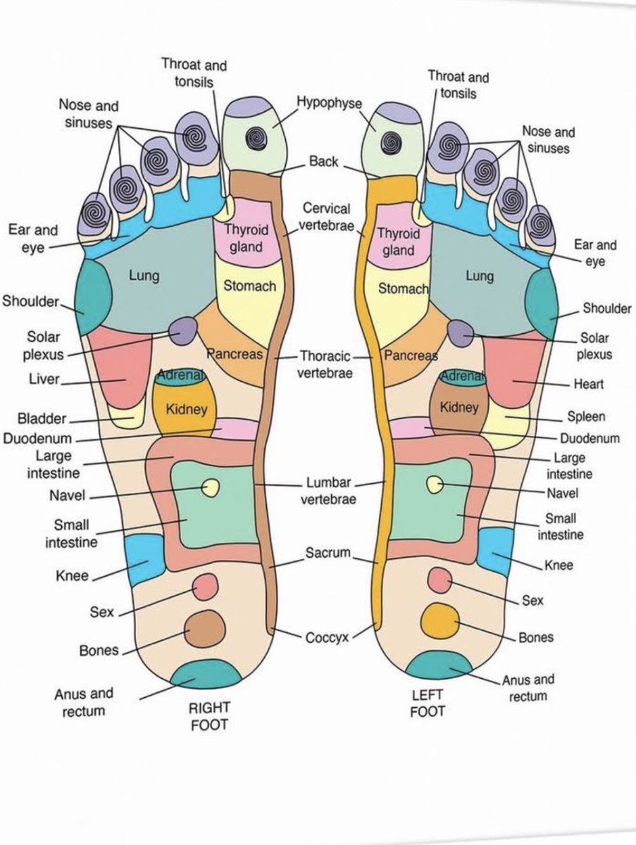 becleartoday's tweet photo. The perfect day to pull off those socks and give your hardworking feet a little TLC. 

Ahh...yes...

#Energy #EnergyWork #Reflexology #FootRub #Chi #Selfcare #SelfLove #massage #footmassage #footmassages #reiki #chronicillness #bronchiectasisinfo #bronchiectasis #copd #asthma https://t.co/SfUcmjCKSd