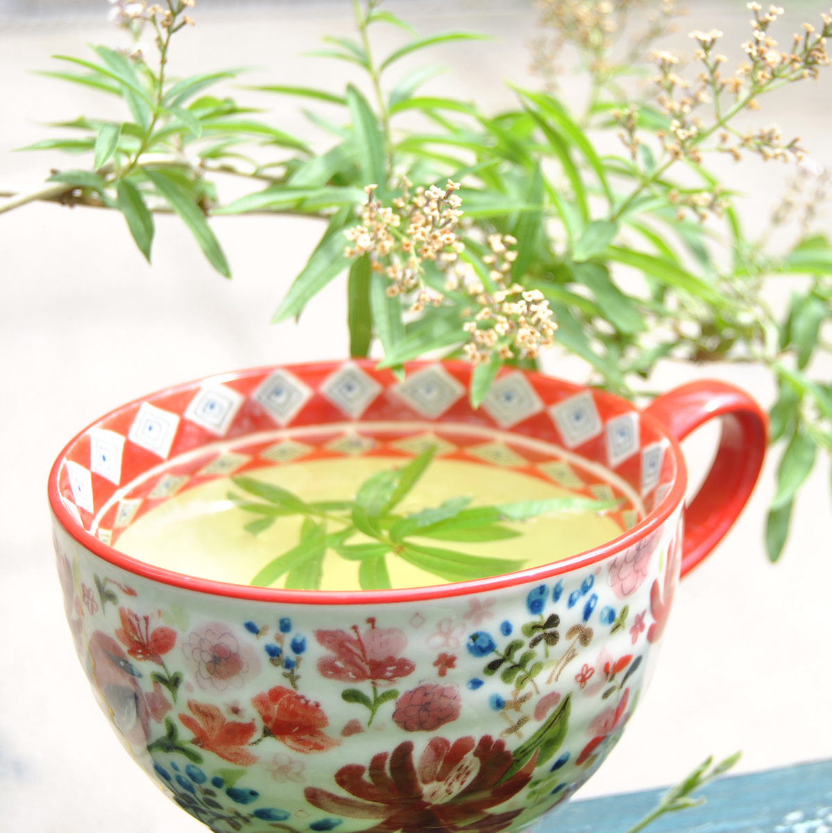 Simple Herbal Remedies training (Free!) Ten workshops running fortnightly between February and June will cover the basics of herbal medicine showing you how to create and use your own herbal kitchen pharmacy for all the family. Info and registration: bit.ly/jbcgherbalreme…