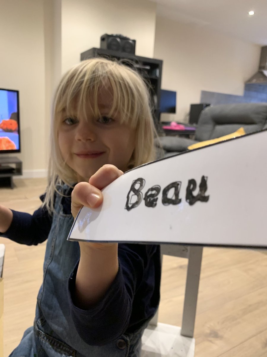 ChannelleF's tweet image. ⁦@KildrumC⁩ - Bailey and Beau working through the learning packs x