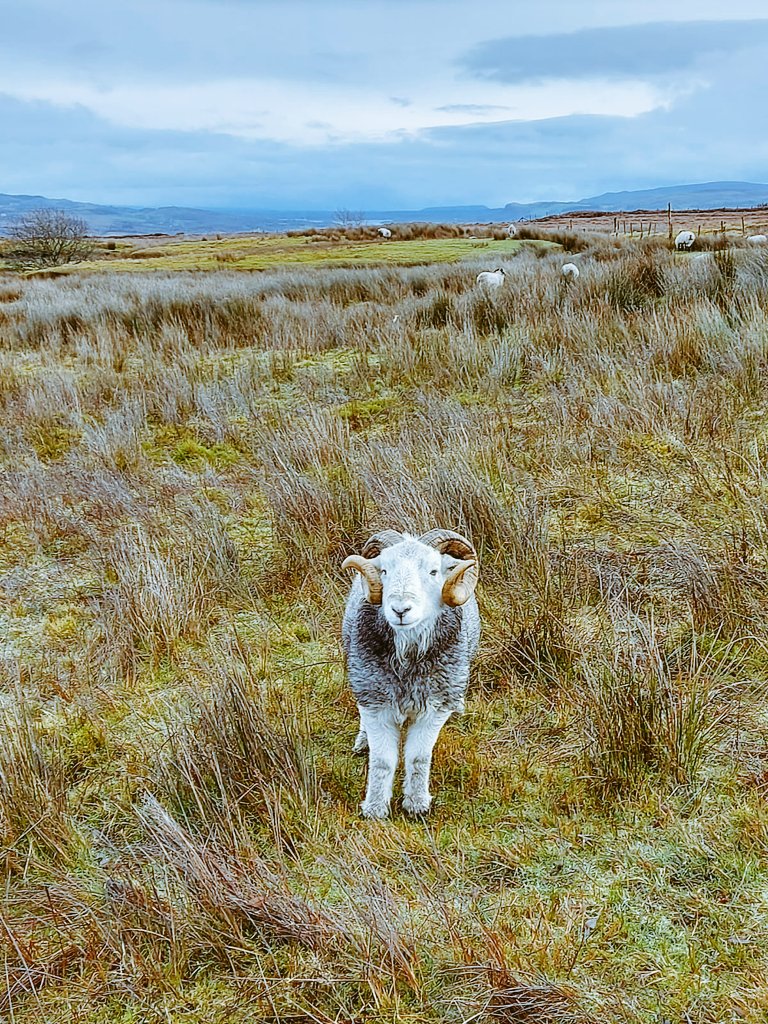 LeitrimTourismNet tweet media