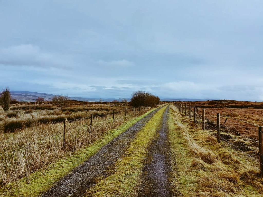 LeitrimTourismNet tweet media