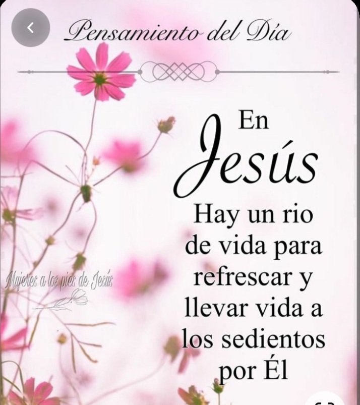 lucytropi's tweet photo. https://t.co/C05mXnkoXG
