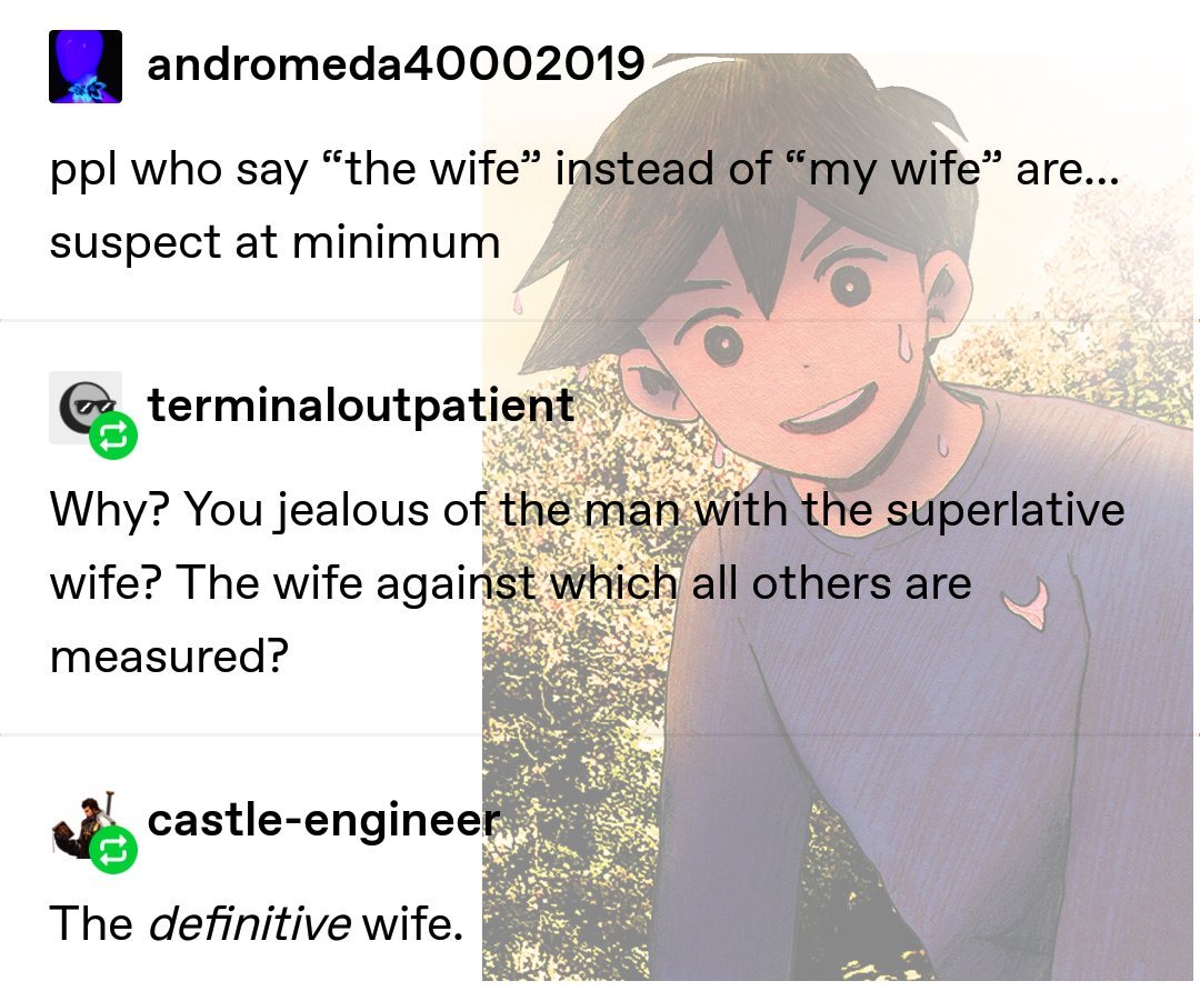 hero is THE wife