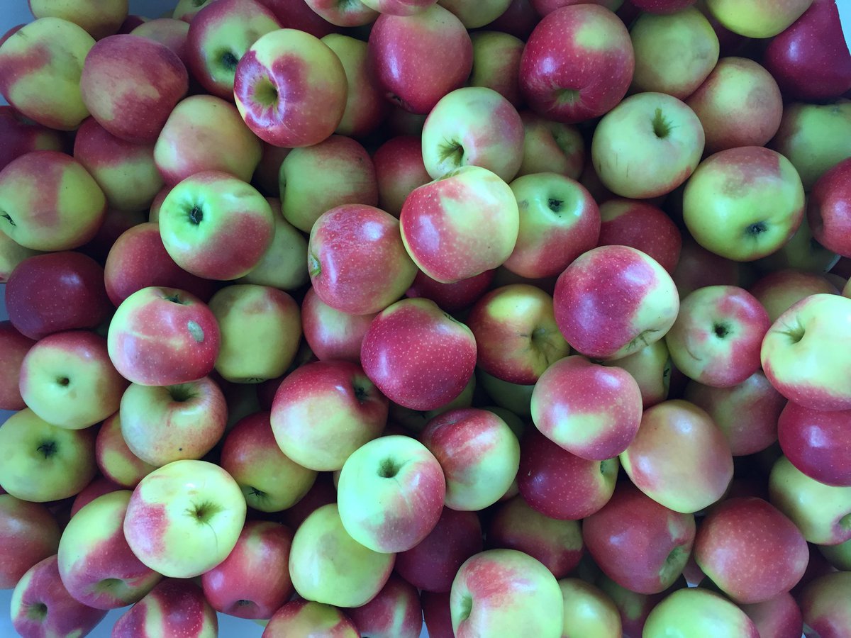 1001inventions's tweet photo. #DidYouKnow 2021 is @FAO Int'l Year of Fruits & Vegetables?
Together with @WFP_Jordan #1001inventions has been raising awareness about benefits of #fruits & #vegetables through @1001meals in refugee camps.
https://t.co/TqvrpNPq85
#IYFV #FruitsVegYear #LesserKnownStories https://t.co/5lWsdW0l6H
