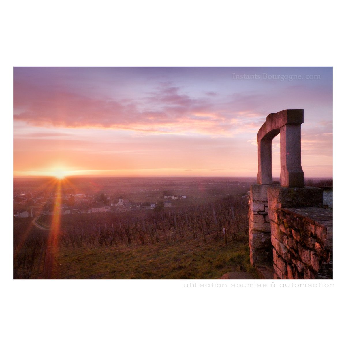 InstantsB's tweet photo. [Photo] Le Clos des Lambrays, ce matin... 
#photo #Bourgogne 
> Voir sur le site : https://t.co/p8rLEKGLgS https://t.co/7P4q0p245S