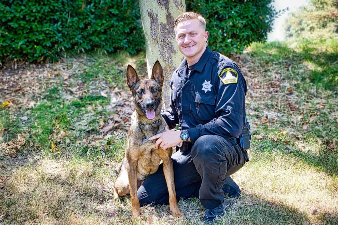 bigricanman's tweet image. Rest In Peace @sacsheriff Deputy Adam Gibson &amp;amp; K9 Riley who were shot &amp;amp; killed on 1/18/21 while trying to apprehend a parolee. He was a veteran of the @USMC &amp;amp; leaves behind a wife &amp;amp; baby. Please retweet to honor them 😞🖤💙🐶 #BlueLivesMatter #BackTheBlue #EnoughIsEnough
