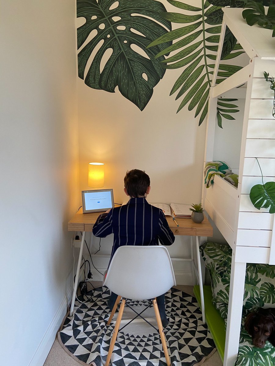 TownCloseSchool's tweet image. Even the pets want to join in the home learning! Jack in Year 2 is joined by not one but two furry friends whilst he works, although you’ll have to look closely to spot them! Anyone else have some company whilst they work? 
#NewClassmates #TeamTownClose