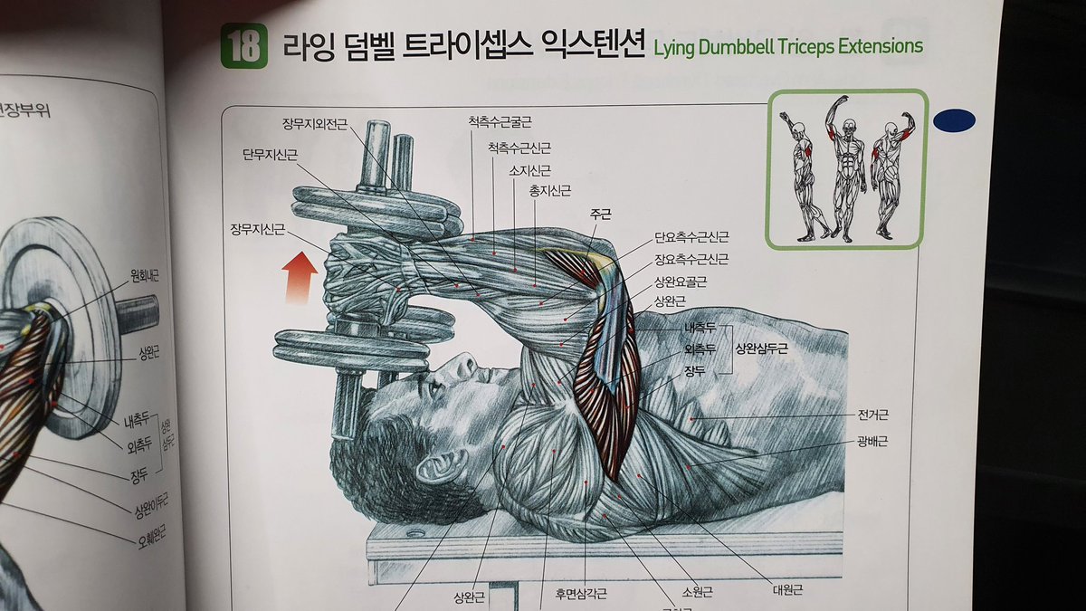 분명 운동가이드 책이지만
해부학이 쩔어서 해부학책으로쓰이는책 