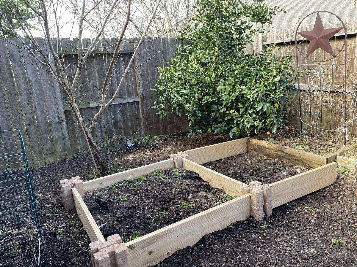 Building a raised garden bed couldn’t be easier. Here’s how to build a raised #garden bed with (No Power Tools!) #gardening #GardenersWorld #gardeningtips #DIY #gardens youtu.be/hP5J5jVhsYo