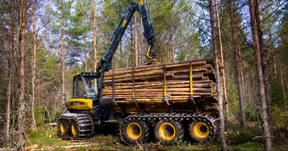 Holz ist als nachwachsender Rohstoff nachhaltig&amp; seine Produktion erfordert, im Gegensatz zu synth. Materialien, außer Zeit nicht viel anderes. Warum der Rohstoff trotzdem oft in der Produktion nicht berücksichtigt wird, findet ihr auf unserem Blog. 🌲🌳🏭 bit.ly/ww_holz
