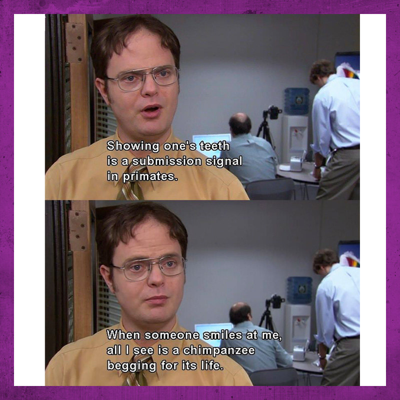 Dwight Schrute Bear Quotes Absolute Radio On Twitter: "The Heart And Soul Of The Us Office Turns 51  Today. One Of The Greatest Characters To Ever Have Been Written - What's  Your Favourite Quote From Dwight