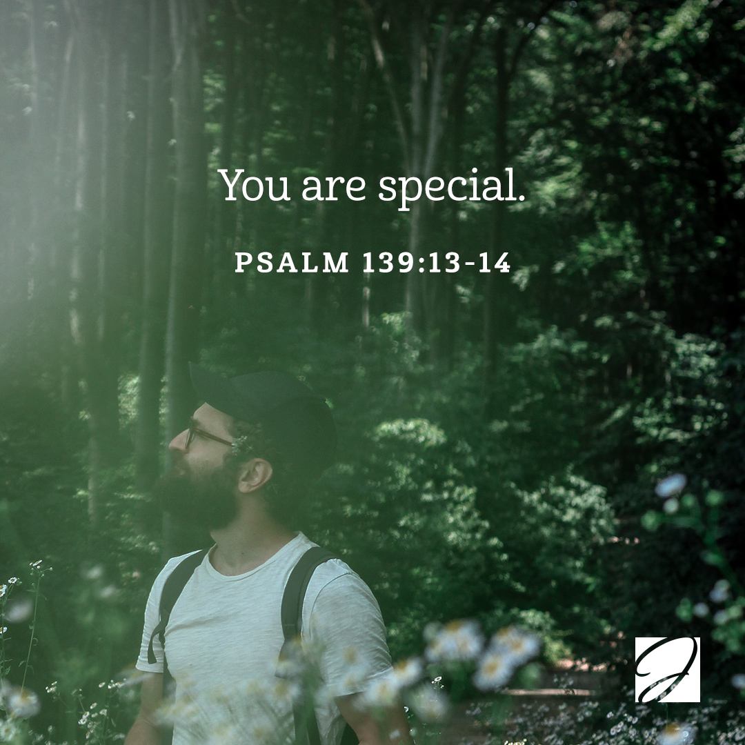 JoyceMeyer's tweet image. You are special! We are all born with different personalities, different likes and dislikes, different gifts and abilities, different physical features—even different fingerprints! And EACH of us has a special part to play in God’s overall plan! #JoyceQuote