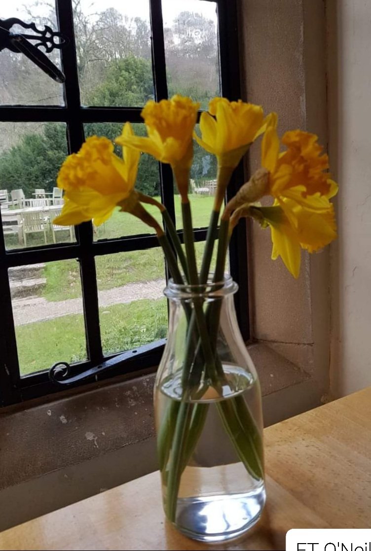 Scrutiny..

Some days return a magical reward
Between dawn's rise and dusk-down 
Routine needs are quietly facilitated
Whilst observation's busy reflecting
Pictures doodle within one's mind
Worlds of words are composed
Inspiration's true artistry..
#mypoetryEileen2021
#inapoem712