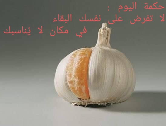 cpl_sec's tweet photo. https://t.co/v5Y6SxumWy